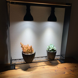 ☆送料込み☆ライトレールスタンド0.5m即購入OK 植物育成 アガベ 塊根