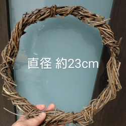 ad72fc482976067672f59293031fa1