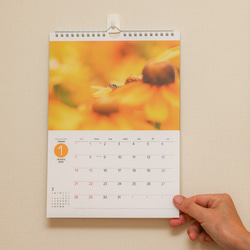 FROGS on FLOWERS カレンダー2024（壁掛け） 4枚目の画像