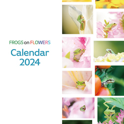 FROGS on FLOWERS カレンダー2024（壁掛け） 1枚目の画像