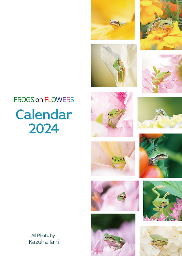 FROGS on FLOWERS カレンダー2024（壁掛け） 1枚目の画像