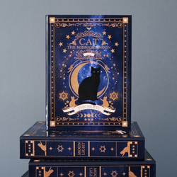 魔法の本のようなブックボックス "猫の魔導書 〜THE MOONLIGHT CAT〜" / 小物入れ 1枚目の画像