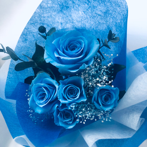 5個セット】青いバラ プリザーブドフラワー ケース入り ギフト