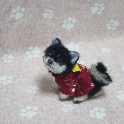 羊毛フェルト 犬 柴犬 豆柴 黒柴 ミニチュアドールハウス 絣柄の着物を 
