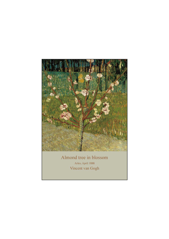 ゴッホ、花咲くアーモンドの木、お祝いにもピッタリな名画ポスター、シンプルスタイル、北欧スタイルにも【G-0537】 11枚目の画像