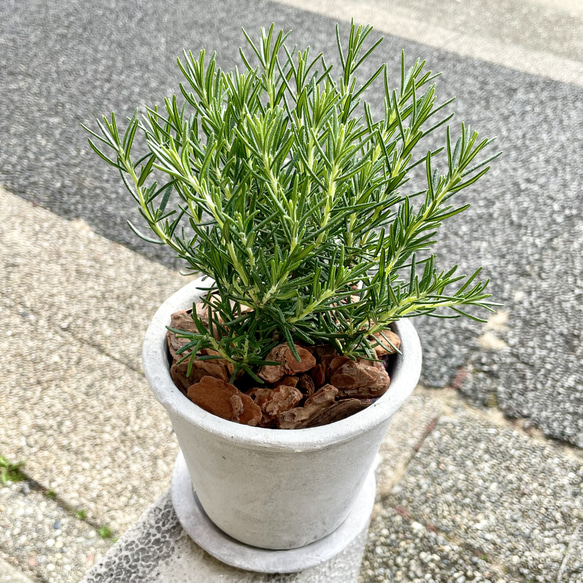  第10張的照片