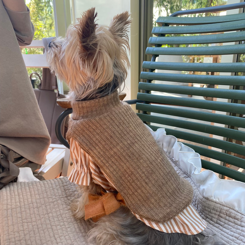 犬服 サイドリボン ニットベスト ペット服・アクセサリー
