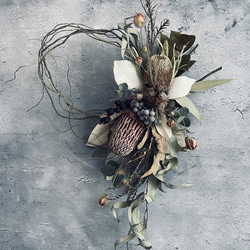 バンクシアの壁掛け リース