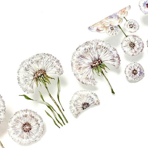 s-293○海外マスキングテープ 切り売り ／ 海外マステ たんぽぽ