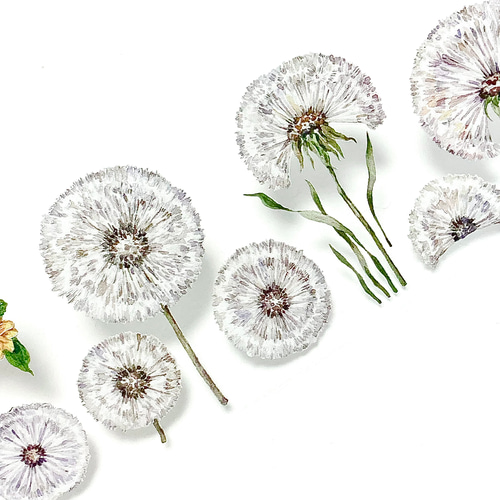 s-293○海外マスキングテープ 切り売り ／ 海外マステ たんぽぽ