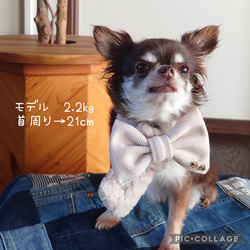 小型犬用 猫用 ♡ モコモコ ♡ でかリボンマフラー 7枚目の画像