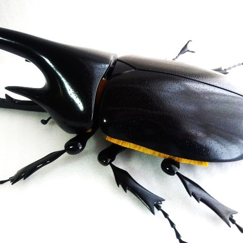 ネプチューンオオカブト 超大型 MEGA リアルフィギュア 立体