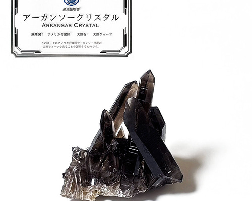 本物保証・証明書付】モリオンクラスター原石｜モリオンは寝る