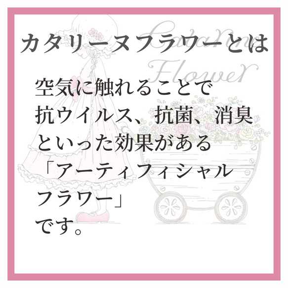 可愛いクリスマスカラーの人形　ポーリーン♡ベル　消臭　抗ウイルス　抗菌　カタリーヌフラワー 10枚目の画像