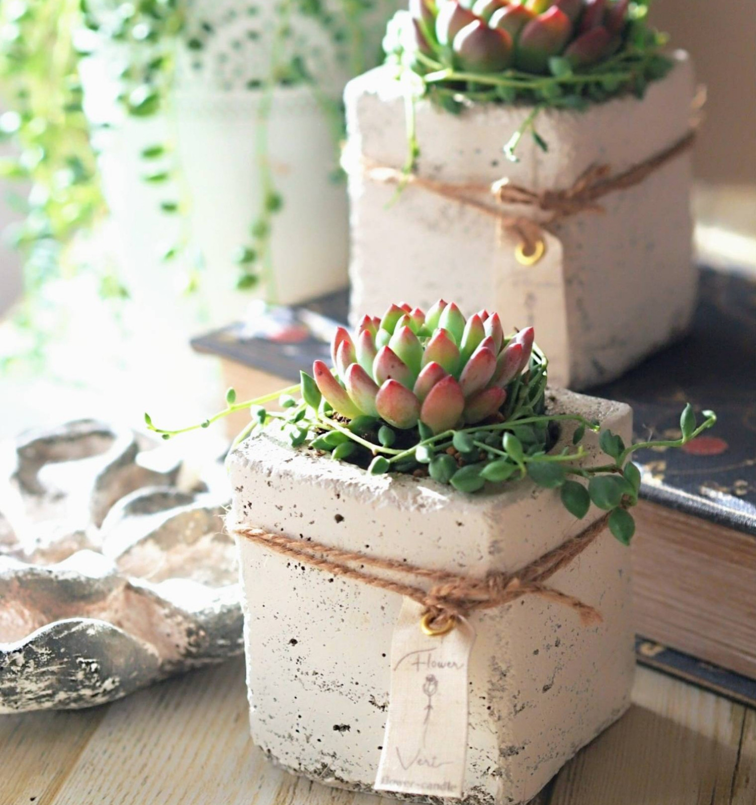 【新品未使用】ソファ 植木鉢 有名作家 多肉 モルタル ハンドメイド 新品未使用】ソファ 植木鉢 有名作家 多肉 モルタル ハンドメイド