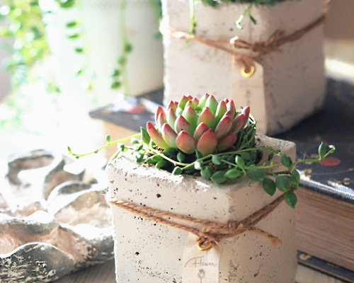 b2087297c3d23942c7b5180a2854e1