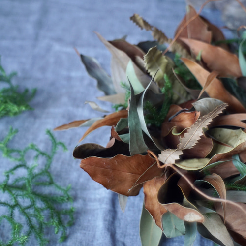 ドライフラワー マグノリアのリース (LL) 】葉っぱのみ ユーカリ