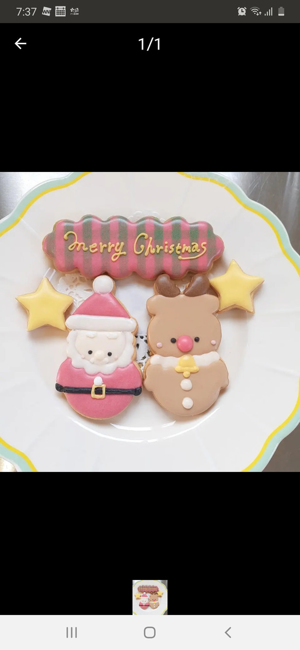 クリスマス☆アイシングクッキー5枚セット 1枚目の画像