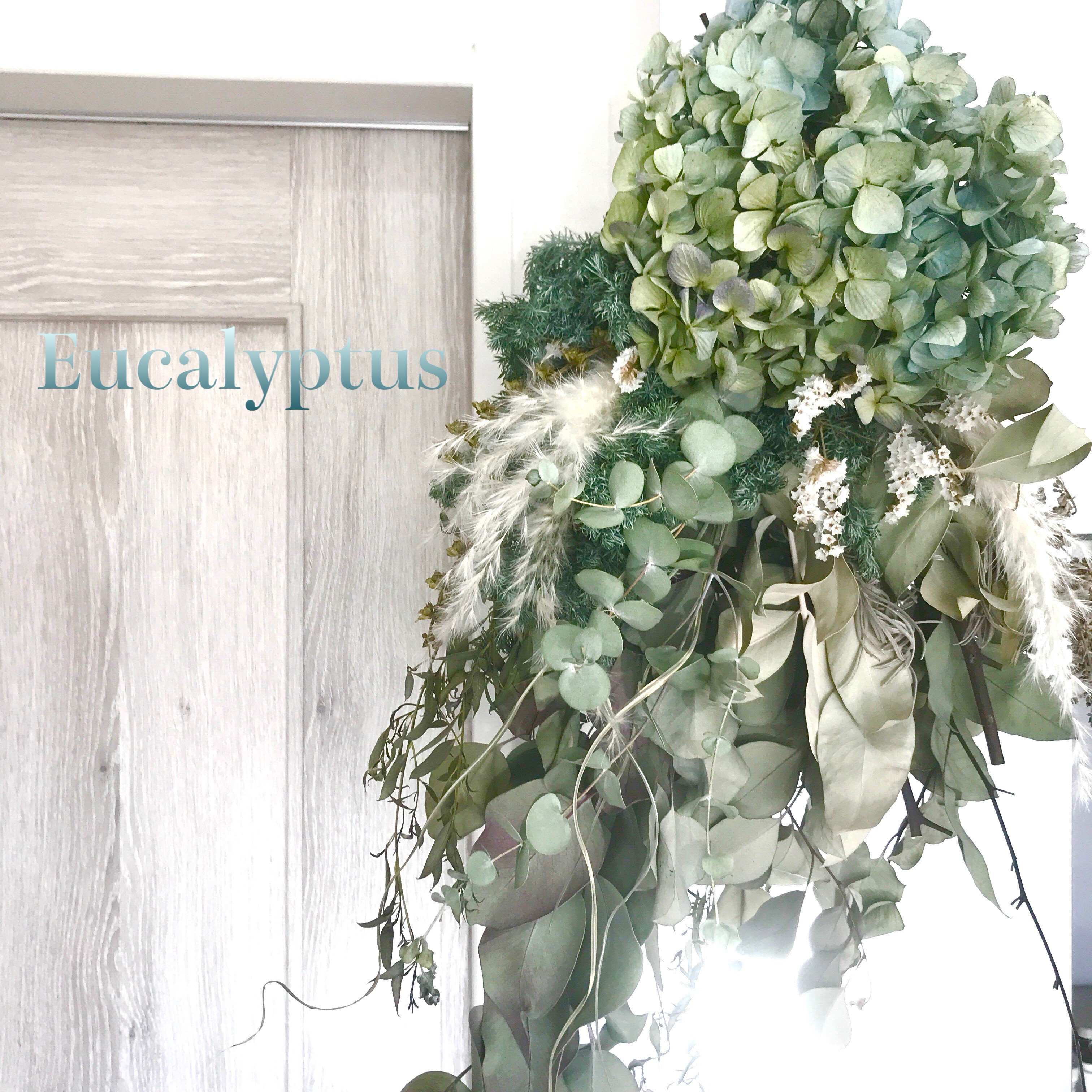 香り立つ無農薬　摘みたてフレッシュユーカリと紫陽花パンパスグラスの大型エメラルドグリーンスワッグ
