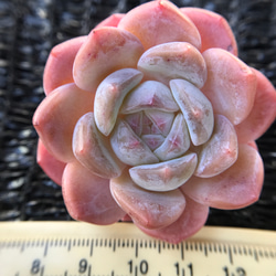 0be17b7f695dd754e620af8dbdf313