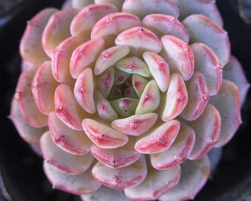 f209cc5d7b3a5da271487c5f9449fc