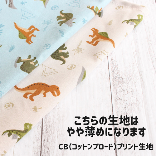 order】ランチョンマット恐竜カラフル入園入学オーダー名入れ
