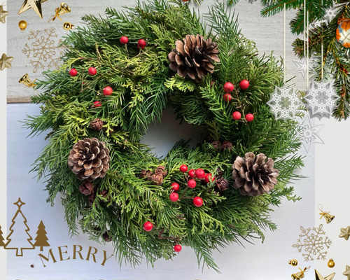 クリスマスリース　フレッシュ 生花]フレッシュクリスマスリースL - 【花と雑貨ギフト