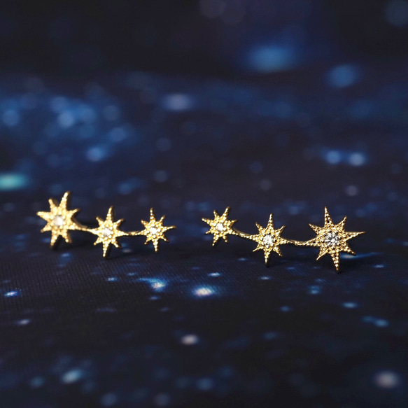 希少☆ ルイヴィトン 星座ピアス 水瓶座 希少☆ ルイヴィトン 星座