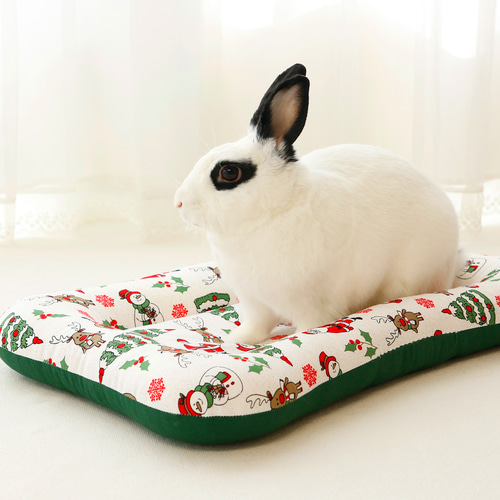 うさぎちゃん クッション