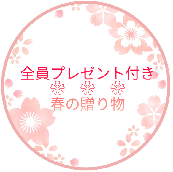 截止到4月25日 2024年春季福袋 ❀ 總價值23,000日元以上 新年7件套 14Kgf 寶石級天然石 AAA 耳環或耳環 第2張的照片