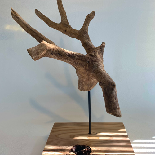 流木のオブジェ その他置物 SHIMS 通販 16940763｜Creema(クリーマ)