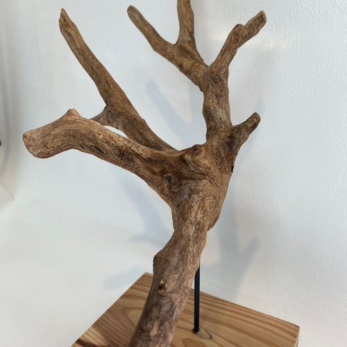 流木のオブジェ　工芸品 流木のオブジェ その他置物 SHIMS 通販 16940763｜Creema(クリーマ)