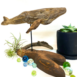 流木のオブジェ その他置物 SHIMS 通販 16940745｜Creema(クリーマ)