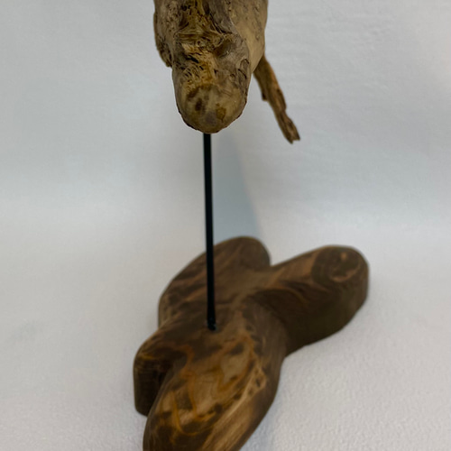 シグノ様　流木465　468　 469 　リクエスト　3点 おまとめ商品 Amazon | 尺八 (しゃくはち） 玉山銘 真竹 琴古流 1尺6寸管