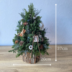 2023 wood pot christmas tree 2枚目の画像