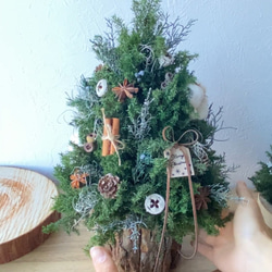 2023 wood pot christmas tree 5枚目の画像