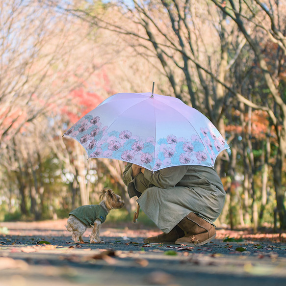 【送料無料】OSOBA晴雨兼用傘　槇田商店コラボ 4枚目の画像