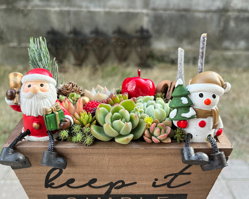 ☆速達付き☆送料無料☆♡そのまま飾れる♡木製鉢♬クリスマスの多肉