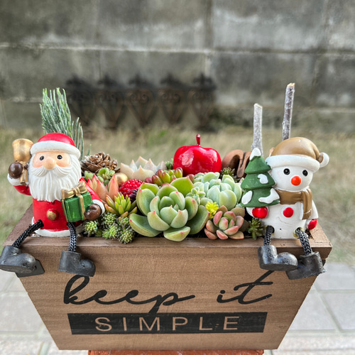 ❤️専用❤️多肉植物❤️そのまま飾れる寄せ植え❤️クリスマス機関車~❤️ 多肉植物】DAISOの機関車に寄せ植え - YouTube