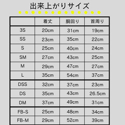  第13張的照片