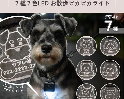 充電式で安心 夜の犬散歩ライト (光る迷子札 犬用) ペット服