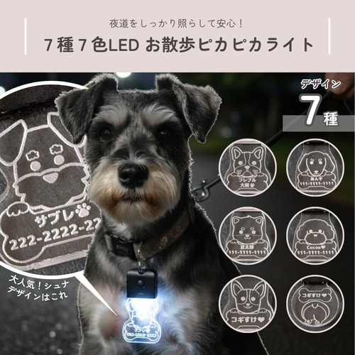 充電式で安心 夜の犬散歩ライト (光る迷子札 犬用) ペット服