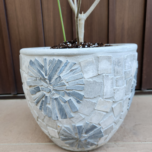 再販♡ 大きめ♪オリーブの木 エルグレコ お洒落 タイルストーン