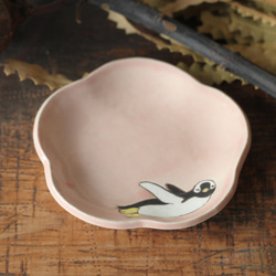 櫻桃釉豆盤巴布亞企鵝 第2張的照片