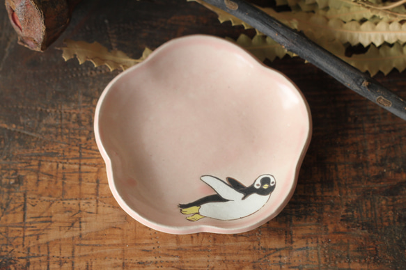 櫻桃釉豆盤巴布亞企鵝 第1張的照片