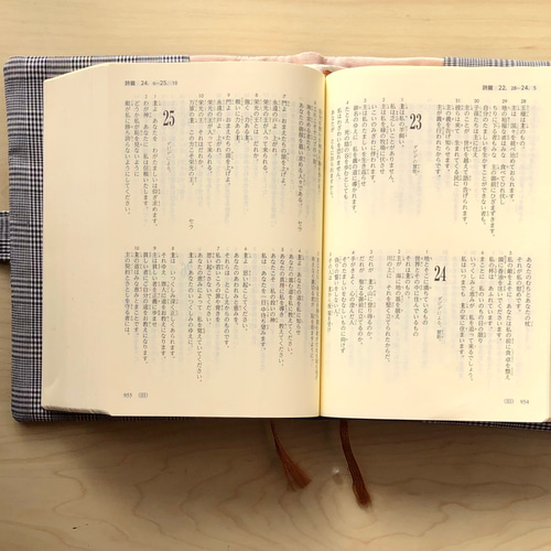 聖書カバー（新改訳聖書2017中型スタンダード用）チェック