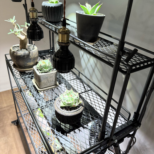 植物棚 下段扉メッシュタイプ 観音開き ライティングレール 棚