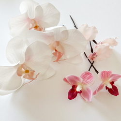 胡蝶蘭ヘッドパーツ　白×ピンク 1枚目の画像