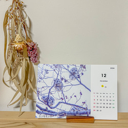EZO ANIMAL calendar2024～北海道の動物卓上カレンダー～ 3枚目の画像