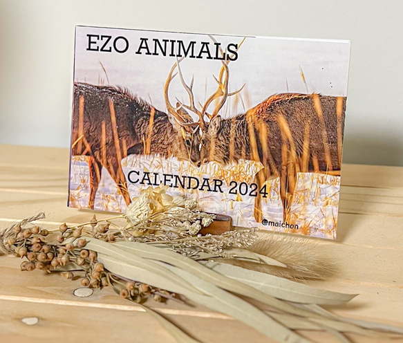 EZO ANIMAL calendar2024～北海道の動物卓上カレンダー～ 1枚目の画像